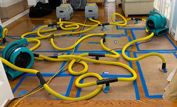 Professional Burst Pipe Water Damage technician working in Greenville, ME