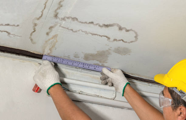 Affordable Water Damage Repair solutions in Greenville, ME
